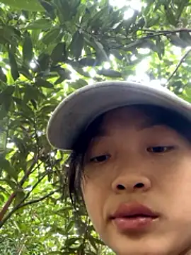 Phayphay77 online show from November 17, 2025, 2:48 am