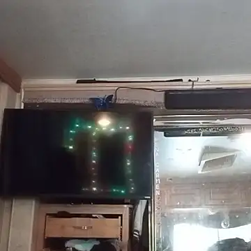 Britania666 online show from October 26, 2025, 6:52 pm