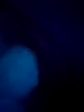 treefrog2025 online show from September 17, 2025, 11:29 pm