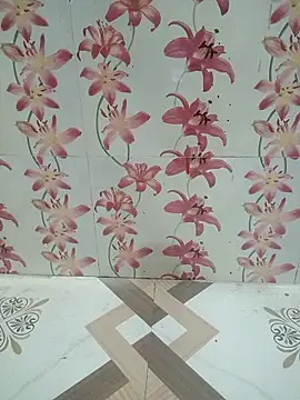 Snapshot of Meenaksi-singh chatting on October 4, 2025, 5:20 am Meenaksi-singh online show from October 4, 2025, 5:20 am