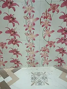 Snapshot of Meenaksi-singh chatting on October 12, 2025, 3:02 pm Meenaksi-singh online show from October 12, 2025, 3:02 pm