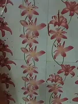 Snapshot of Meenaksi-singh chatting on September 13, 2025, 7:03 pm Meenaksi-singh online show from September 13, 2025, 7:03 pm