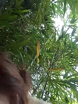 Bianly online show from March 14, 2026, 1:55 am