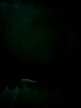 CrepedTrek online show from November 26, 2025, 6:19 pm