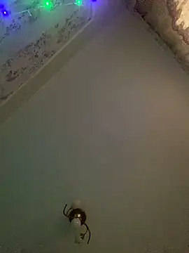 Snapshot of missevacrystal chatting on November 7, 2025, 11:48 am missevacrystal online show from November 7, 2025, 11:48 am