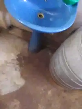 Snapshot of Pogga666 chatting on November 9, 2025, 5:33 am Pogga666 online show from November 9, 2025, 5:33 am