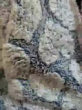 Dalo3a99sixi online show from November 23, 2025, 1:21 pm