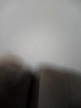 raposinharosada online show from January 8, 2026, 3:45 am