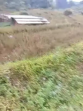 Phuongphuongg online show from October 20, 2025, 2:24 am