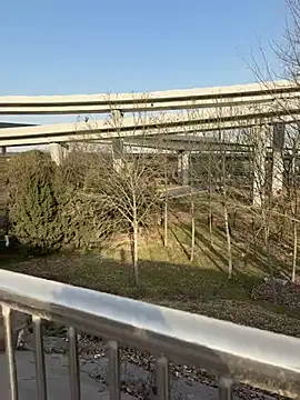 sonwmelt1 online show from January 15, 2026, 8:18 am