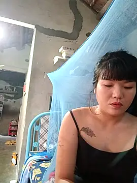 ttd83 online show from April 17, 2026, 10:34 pm