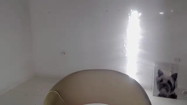 Snapshot of Stein_ chatting on September 19, 2025, 11:58 am Stein online show from September 19, 2025, 11:58 am