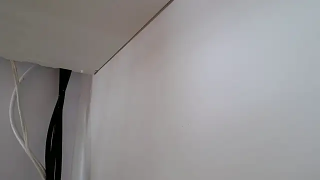 Snapshot of Stein_ chatting on November 15, 2025, 8:24 pm Stein online show from November 15, 2025, 8:24 pm