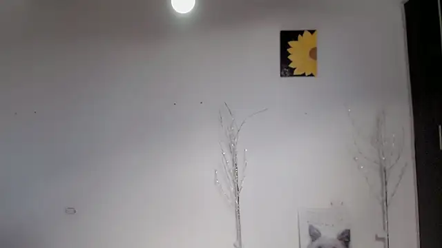 Snapshot of Stein_ chatting on September 15, 2025, 1:55 pm Stein online show from September 15, 2025, 1:55 pm