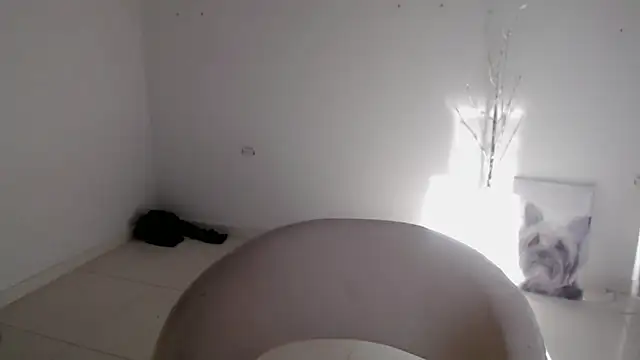 Snapshot of Stein_ chatting on September 24, 2025, 12:55 pm Stein online show from September 24, 2025, 12:55 pm