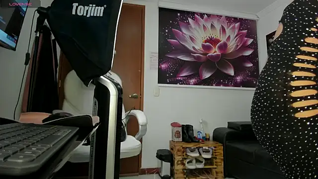 lycoris 19 online show from December 1, 2025, 8:53 pm