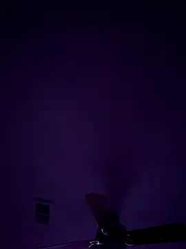 Snapshot of honestlychina chatting on October 10, 2025, 8:48 am honestlychina online show from October 10, 2025, 8:48 am