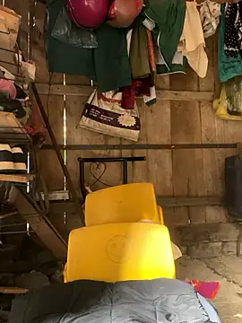 Sunyinn online show from December 21, 2025, 2:46 am