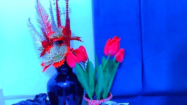 AmbarSmit online show from April 16, 2026, 11:07 pm