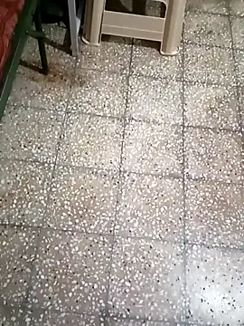 twpatil online show from October 25, 2025, 4:33 am