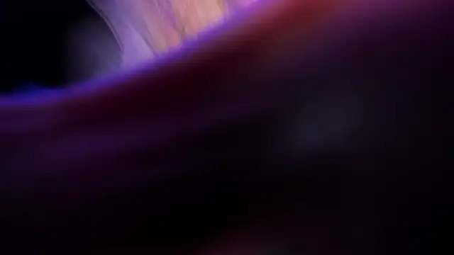 Snapshot of Widny_Beaumont chatting on November 22, 2025, 3:38 am Widny Beaumont online show from November 22, 2025, 3:38 am