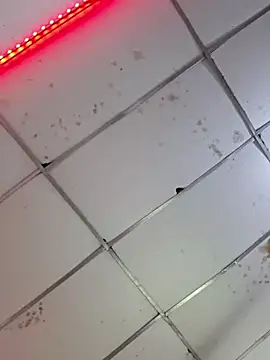 camila rogue online show from December 4, 2025, 12:26 pm