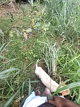 Snapshot of Negodabenga chatting on February 13, 2026, 1:11 pm Negodabenga online show from February 13, 2026, 1:11 pm