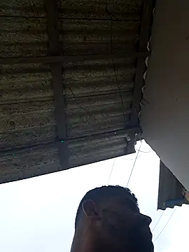 Snapshot of Negodabenga chatting on February 20, 2026, 4:42 pm Negodabenga online show from February 20, 2026, 4:42 pm