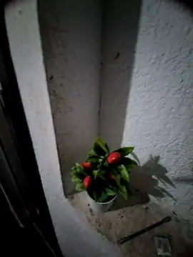 MIXJARABA online show from February 8, 2026, 8:01 am