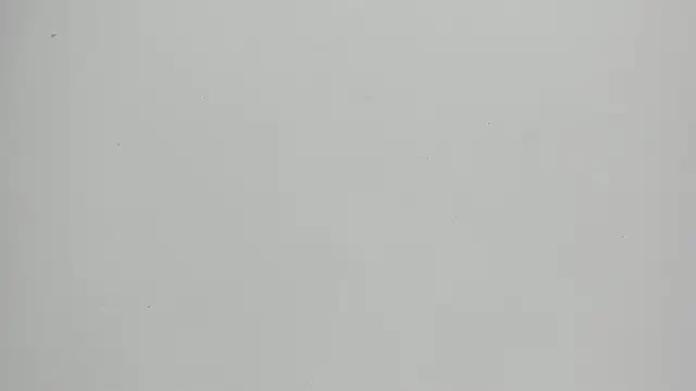 Snapshot of FluffyMelons chatting on May 18, 2026, 10:58 pm FluffyMelons online show from May 18, 2026, 10:58 pm