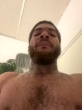 1mistaGoodWood online show from October 26, 2025, 6:19 pm