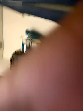 1mistaGoodWood online show from November 18, 2025, 12:52 pm