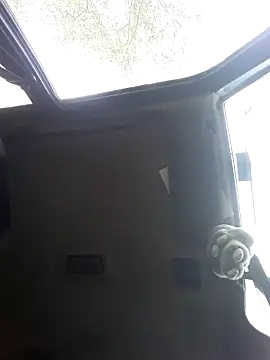 N i k o l a u online show from September 29, 2025, 12:33 pm