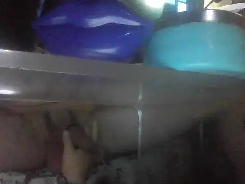 Snapshot of PenerPanShibari chatting on July 5, 2026, 9:54 pm PenerPanShibari online show from July 5, 2026, 9:54 pm