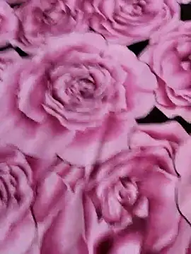 sana-5 online show from April 14, 2026, 5:07 pm