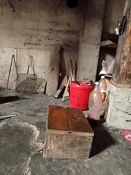 Snapshot of TinTin321 chatting on March 3, 2026, 5:25 am TinTin321 online show from March 3, 2026, 5:25 am