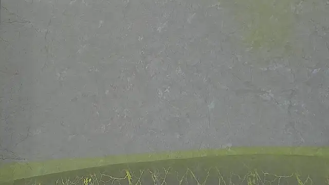 Snapshot of Draven_Marceaux chatting on July 3, 2026, 11:28 am Draven Marceaux online show from July 3, 2026, 11:28 am