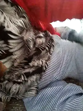 zerdaliii online show from November 17, 2025, 5:55 am