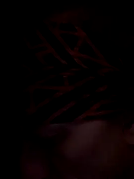 djcarey369159 online show from December 4, 2025, 9:52 am