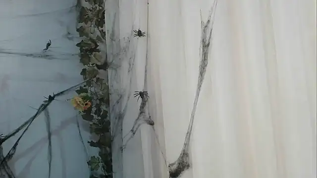 Snapshot of angelainparis28 chatting on October 21, 2025, 1:05 am angelainparis28 online show from October 21, 2025, 1:05 am