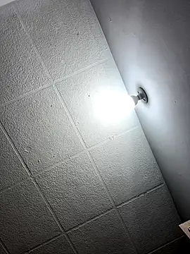 LICEET online show from November 20, 2025, 11:47 pm