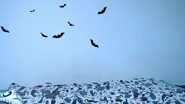 litle owl online show from November 9, 2025, 6:23 pm