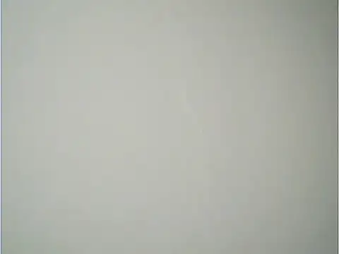 fcach2244 online show from November 18, 2025, 2:20 pm