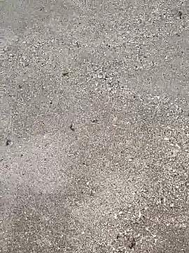 Snapshot of sarahkat86 chatting on September 23, 2025, 4:36 pm sarahkat86 online show from September 23, 2025, 4:36 pm