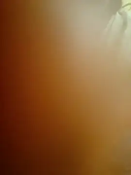 Swapna Hyd online show from November 11, 2025, 10:47 pm