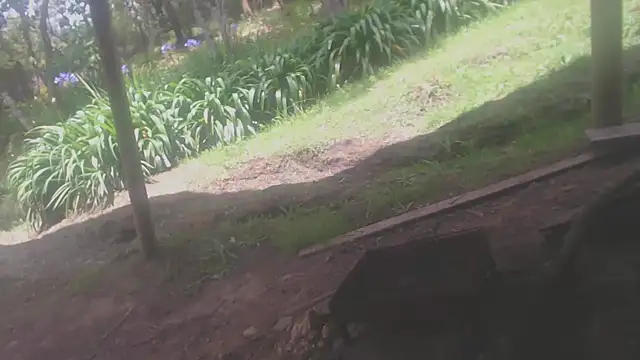 habdiela online show from April 19, 2026, 4:08 pm