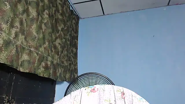 maggi hotsson online show from November 17, 2025, 11:53 pm