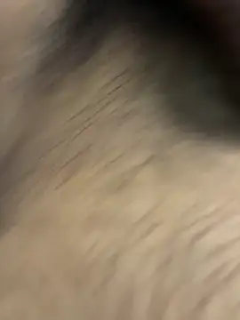 jackey3193 online show from April 12, 2026, 1:25 pm