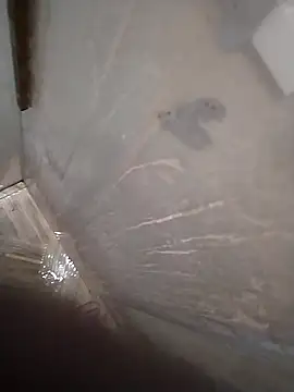 Pio185 online show from February 24, 2026, 10:32 pm