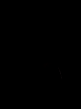 luis97fer online show from April 17, 2026, 11:24 am